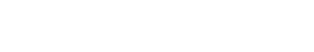 Shopify Partner